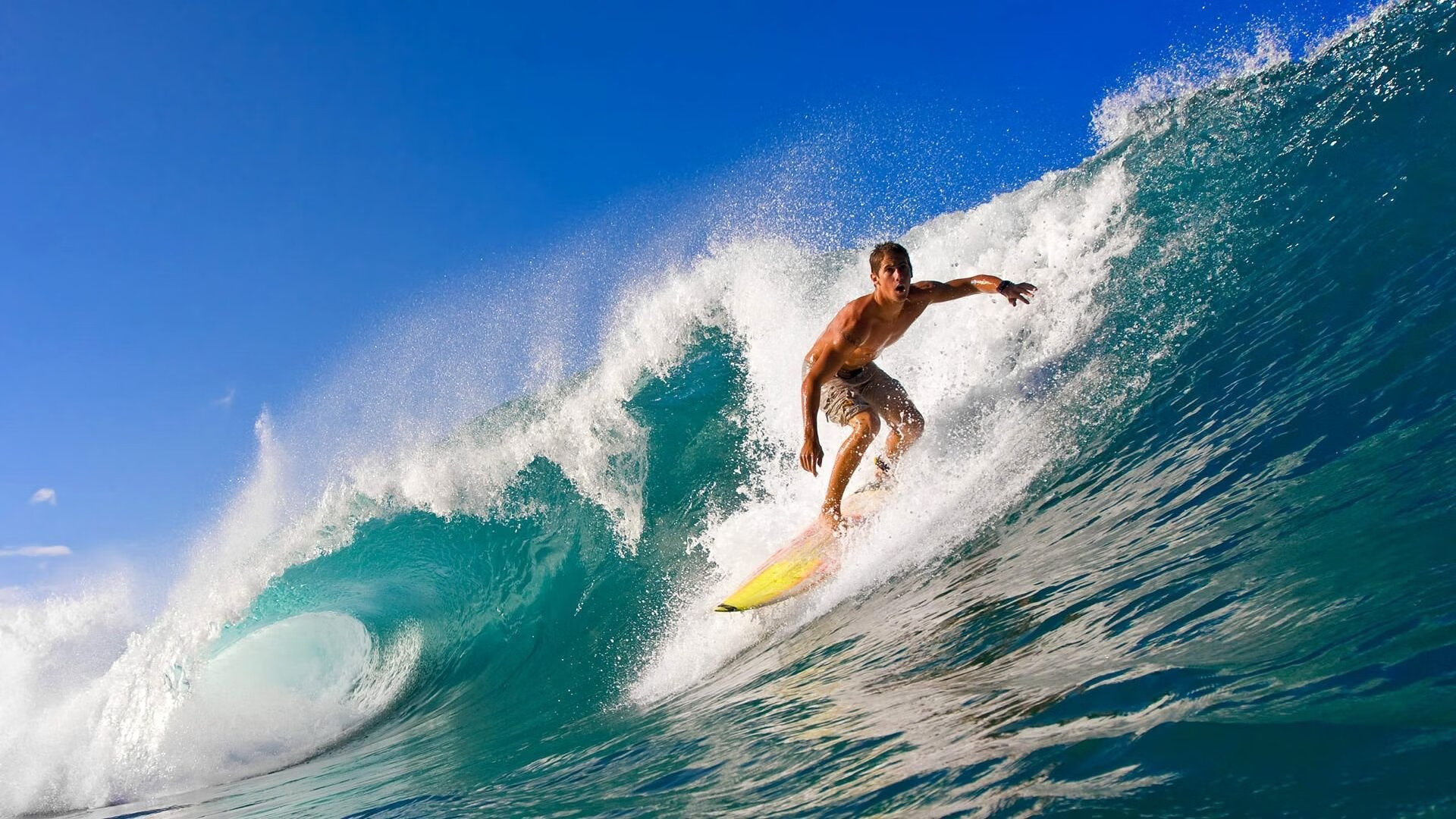 世界杯精彩经典:每个瞬间都是永恒!,世界杯经典回顾